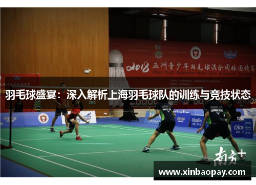 羽毛球盛宴：深入解析上海羽毛球队的训练与竞技状态