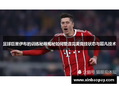 足球巨星伊布的训练秘籍揭秘如何塑造完美竞技状态与超凡技术